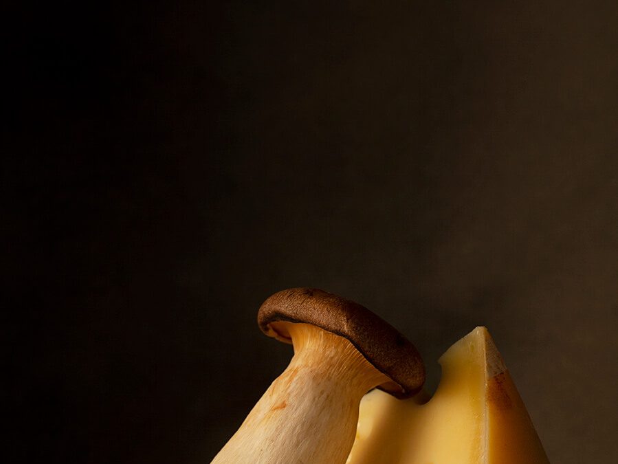 chuck studios - kristty snell - tribute to the dutch mastetrs - mushrooms and cheese