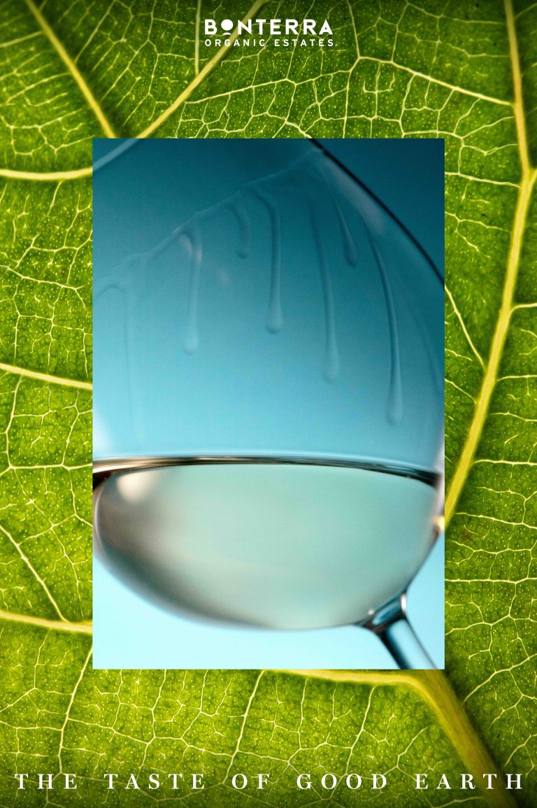 060325 Work Bonterra6970_White_Wine_Walz2
