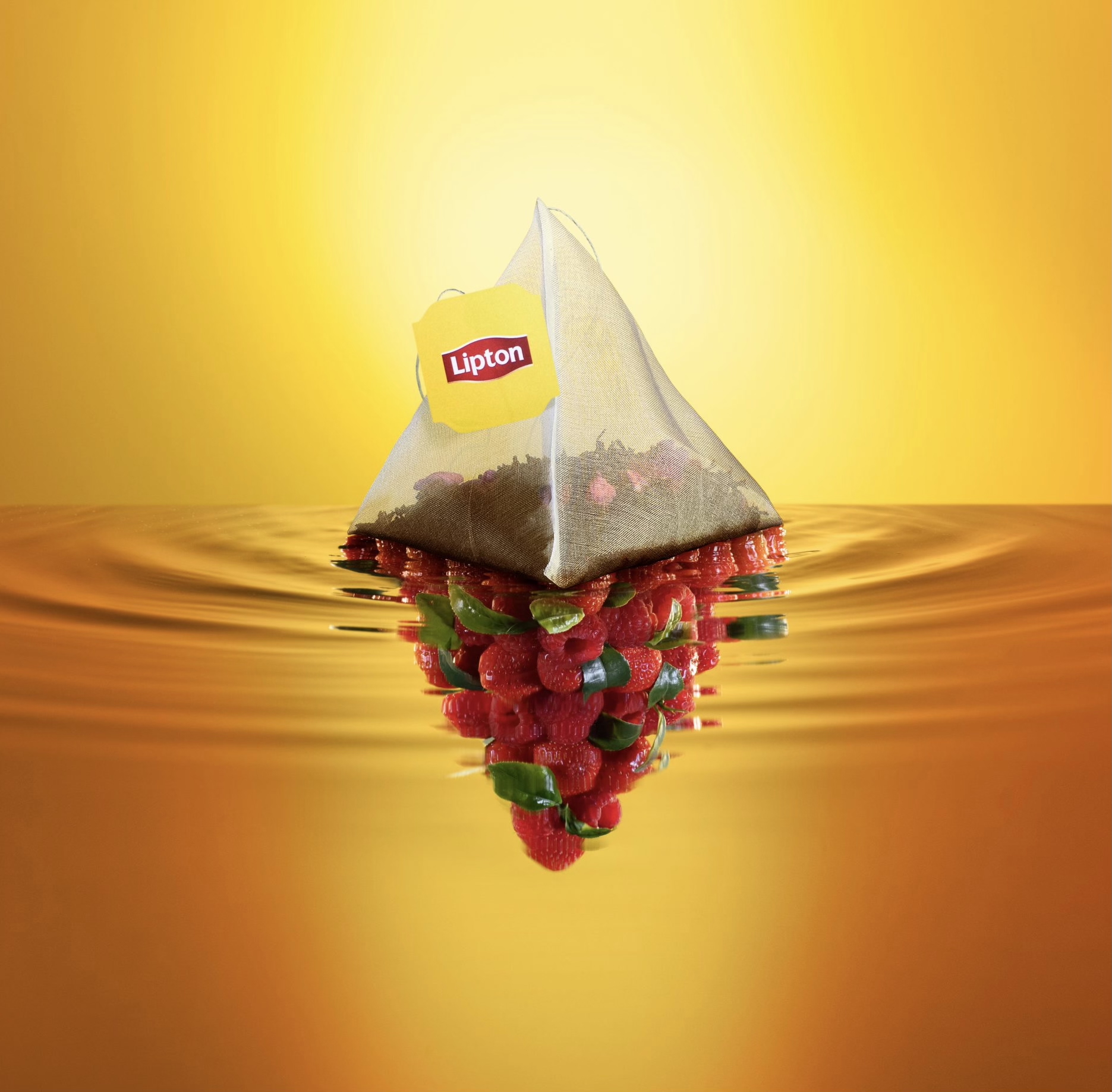 Chuck Tea Black Tea Pyramid Range - Chuck Studios